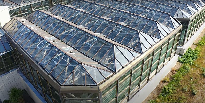 Greenhouse